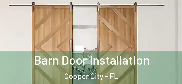 Barn Door Installation Cooper City - FL