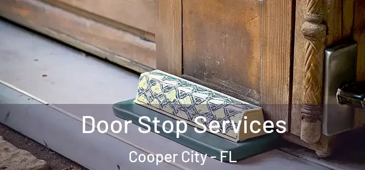 Door Stop Services Cooper City - FL