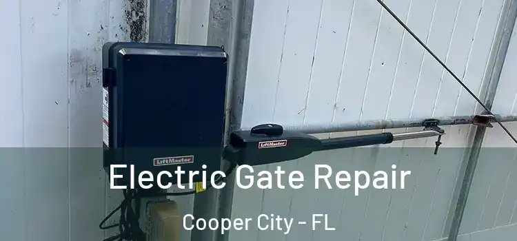 Electric Gate Repair Cooper City - FL