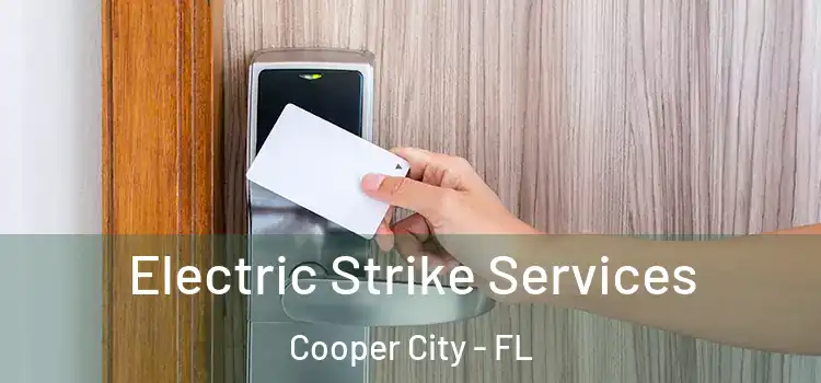 Electric Strike Services Cooper City - FL