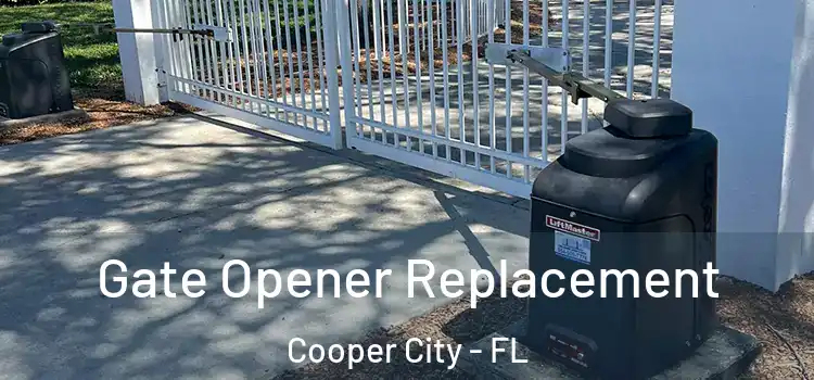 Gate Opener Replacement Cooper City - FL