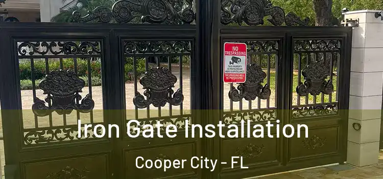 Iron Gate Installation Cooper City - FL