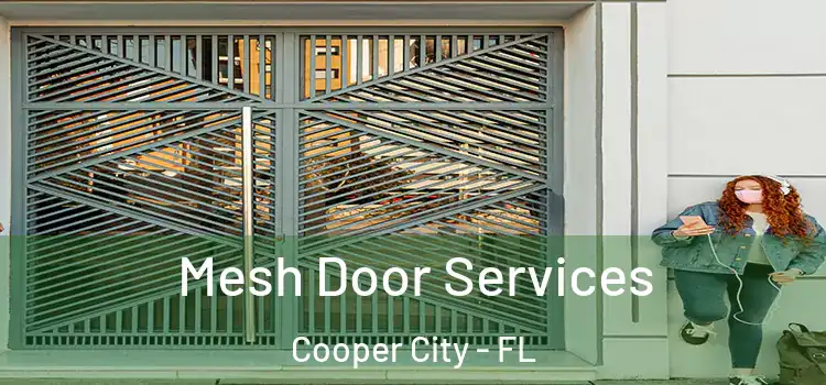 Mesh Door Services Cooper City - FL