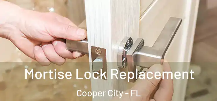 Mortise Lock Replacement Cooper City - FL