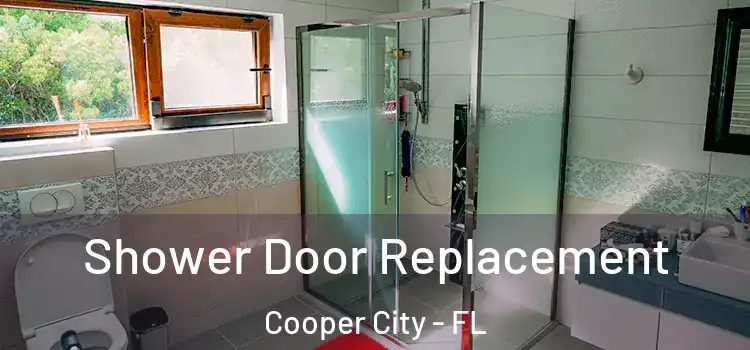 Shower Door Replacement Cooper City - FL